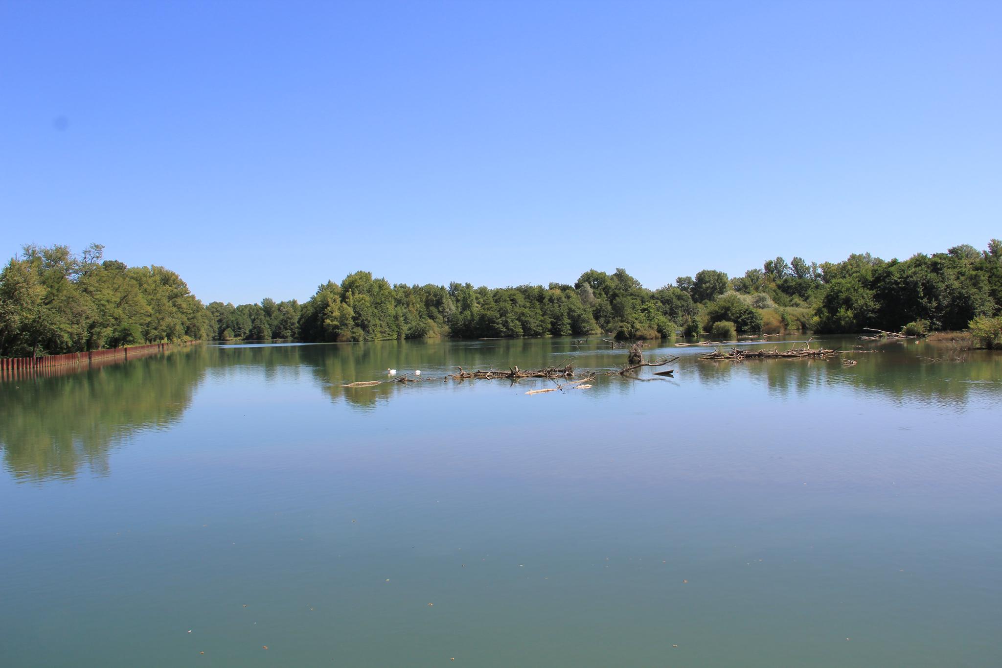 Lac d'Artix-Besingrand-Pardies, Artix - photo 9