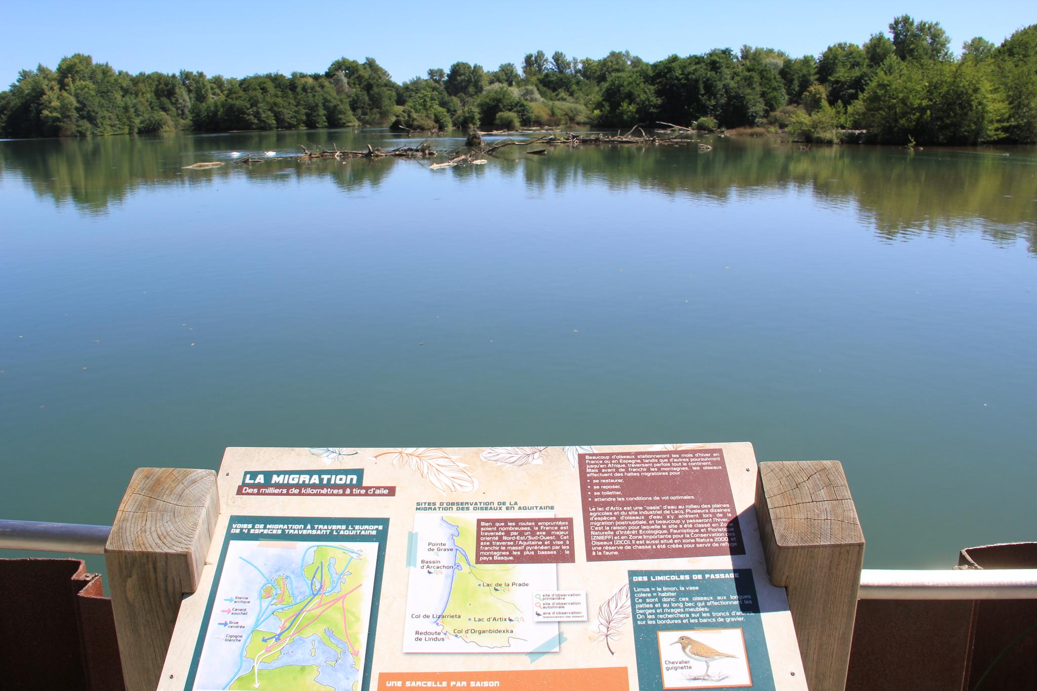 Lac d'Artix-Besingrand-Pardies, Artix - photo 6