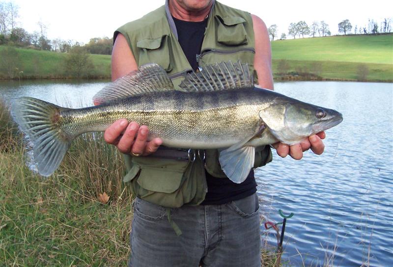 Domaine du Lac d'Harrieta - Lac de pêche