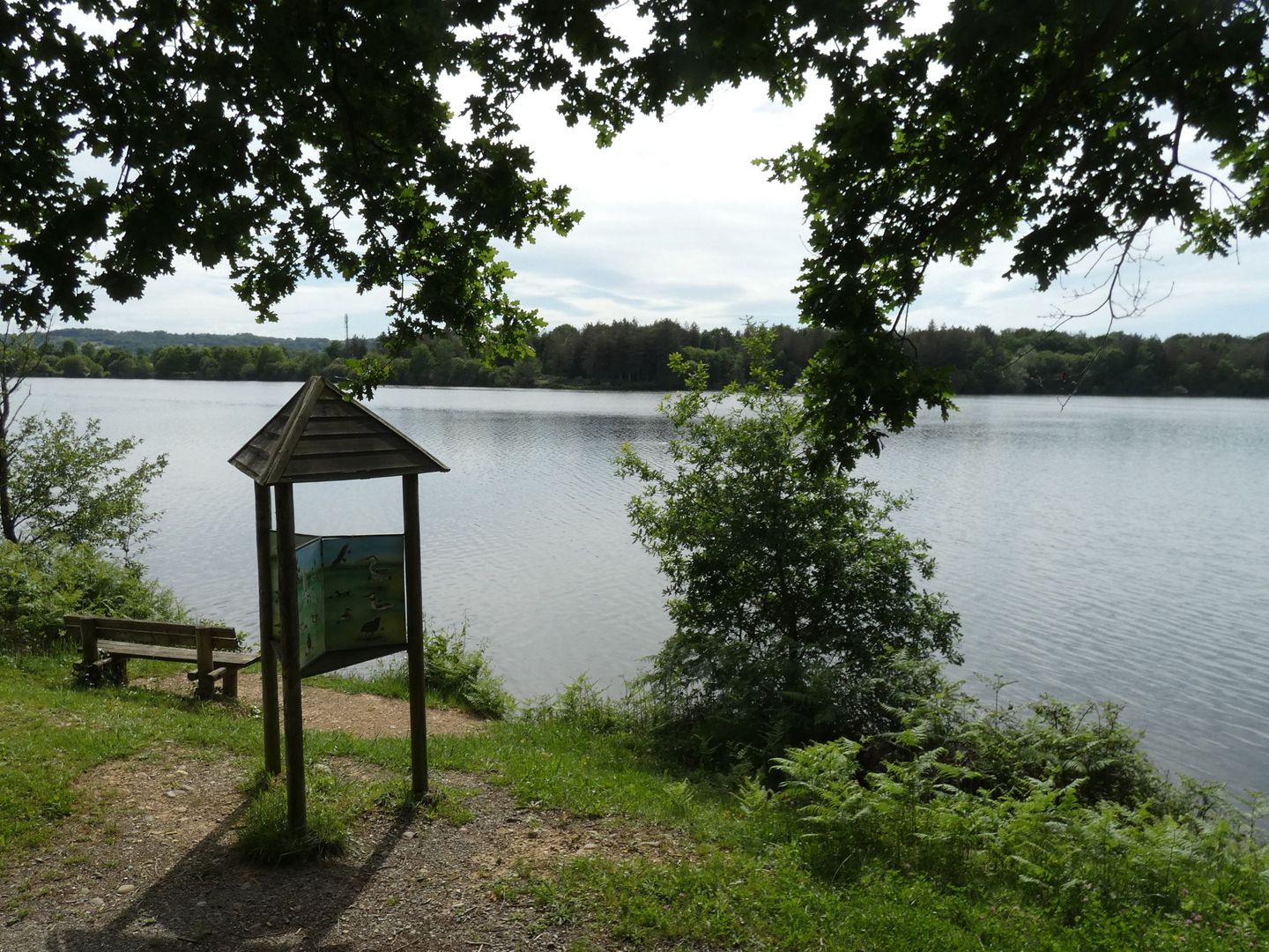 Momas : Du Luy à l'Ayguelongue