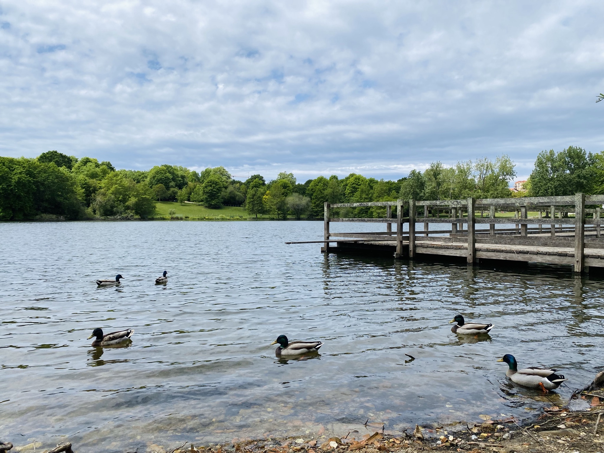 Aire de Jeux Lac Marion, Biarritz - photo 7