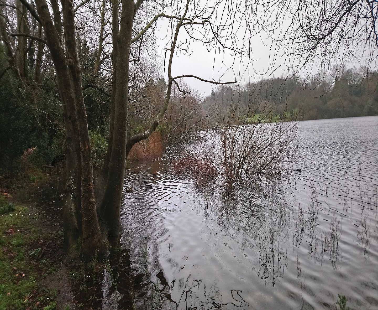 Lac Marion - photo 3