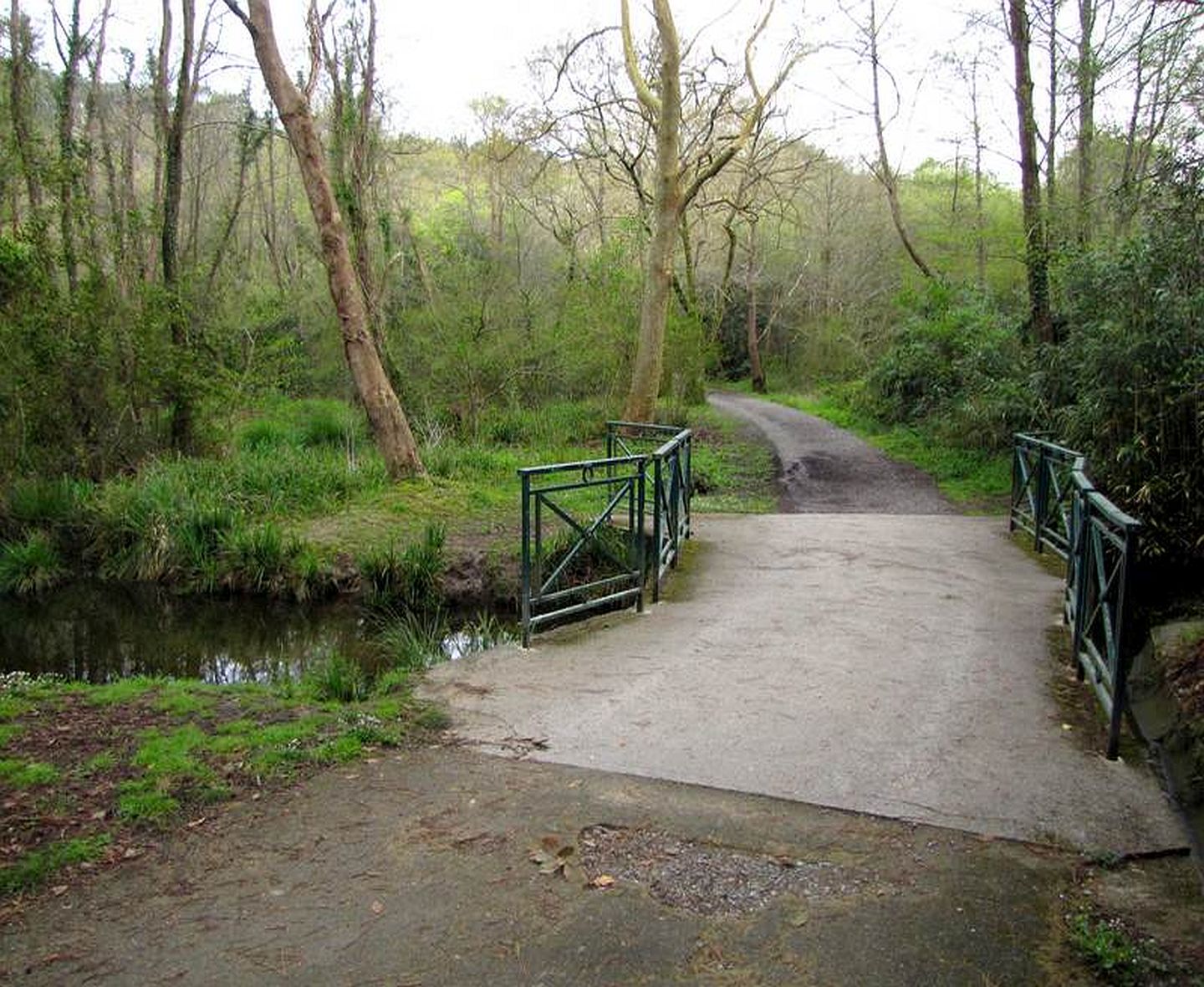Lac Mouriscot - photo 4