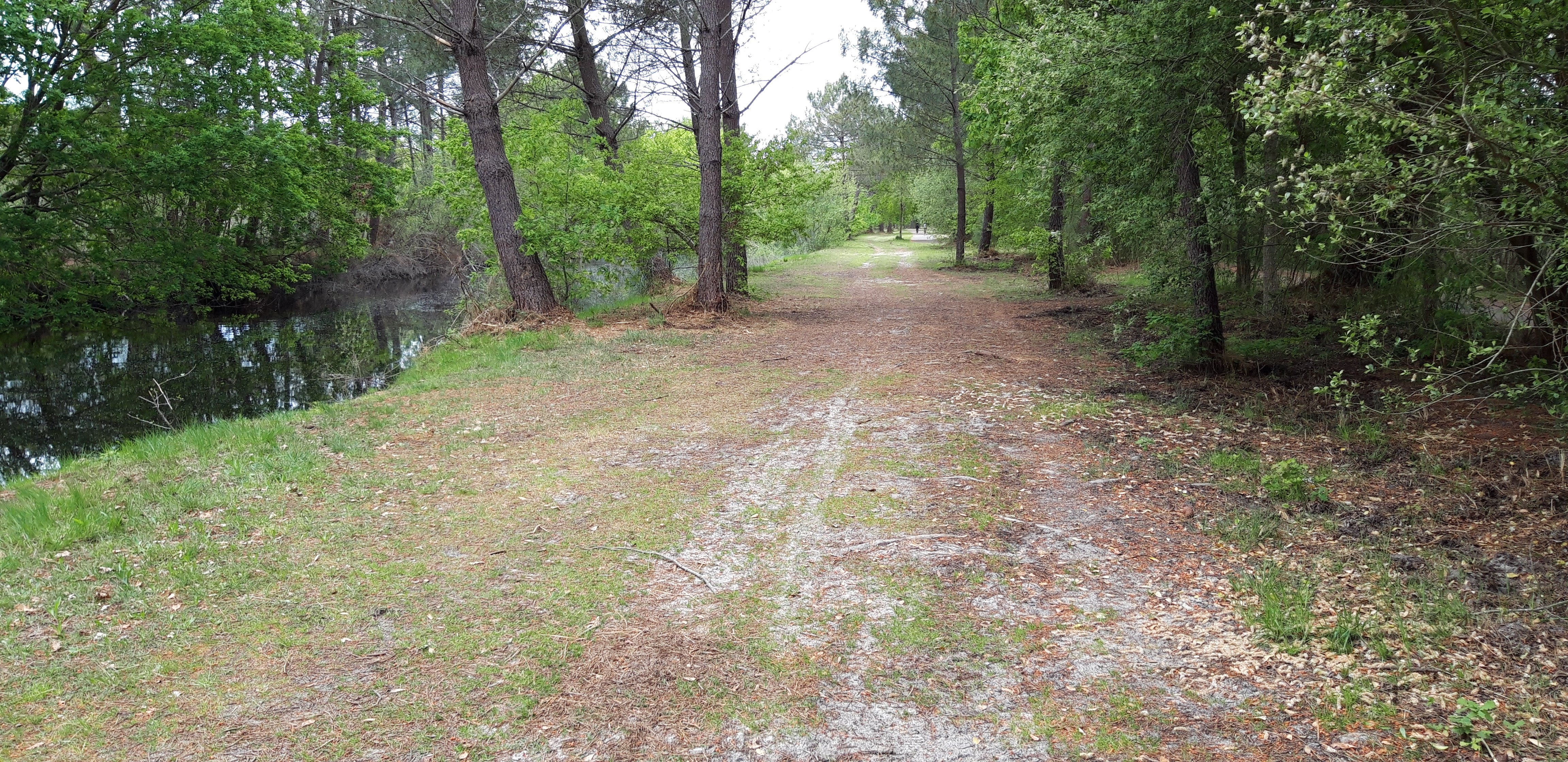 Biscarrosse Marche et Découverte