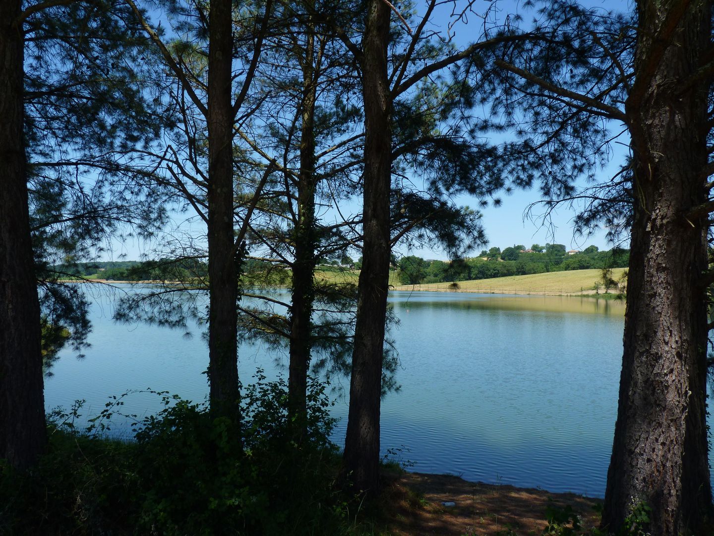 SERRES-CASTET : tour du lac - photo 3