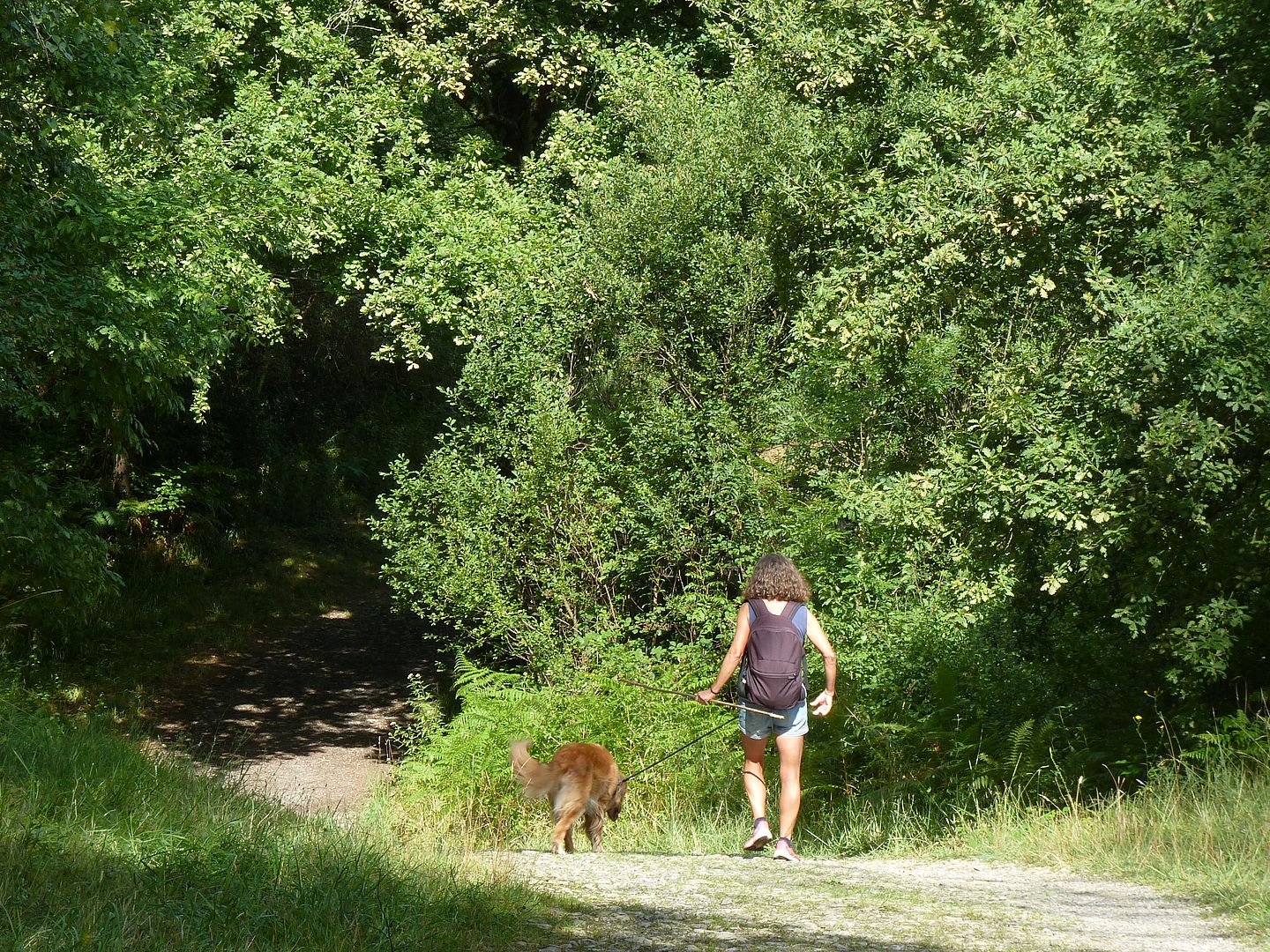 SERRES-CASTET : tour du lac - photo 5