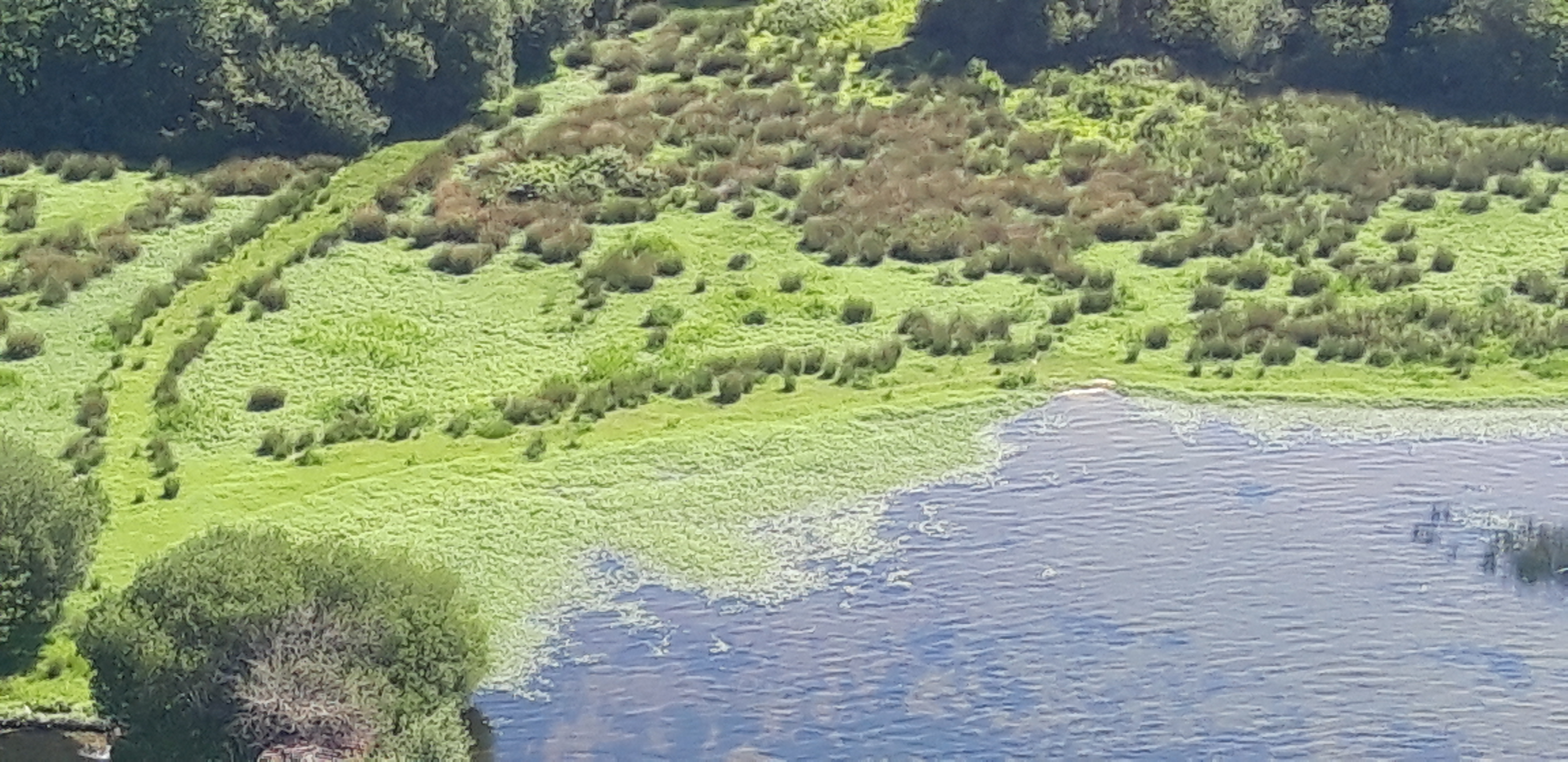 Biscarrosse Marche et Découverte - photo 3
