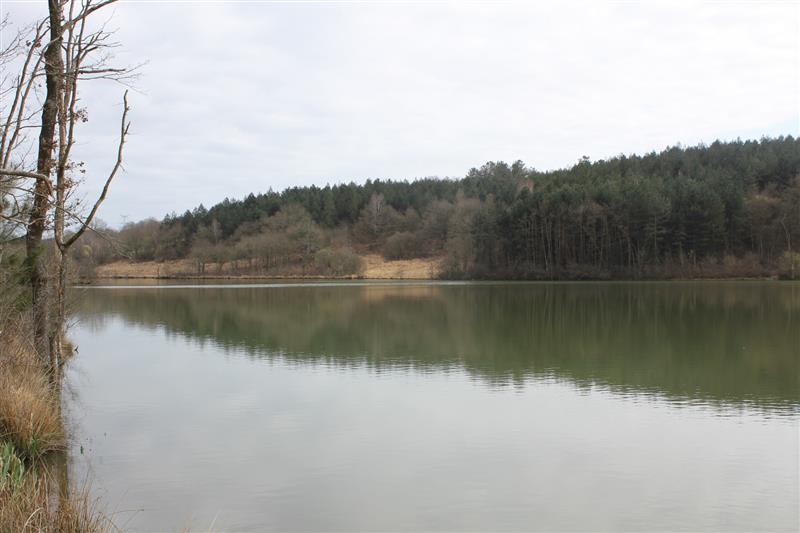 Site environnement pêche