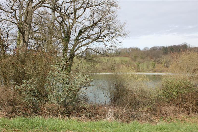 Site environnement pêche