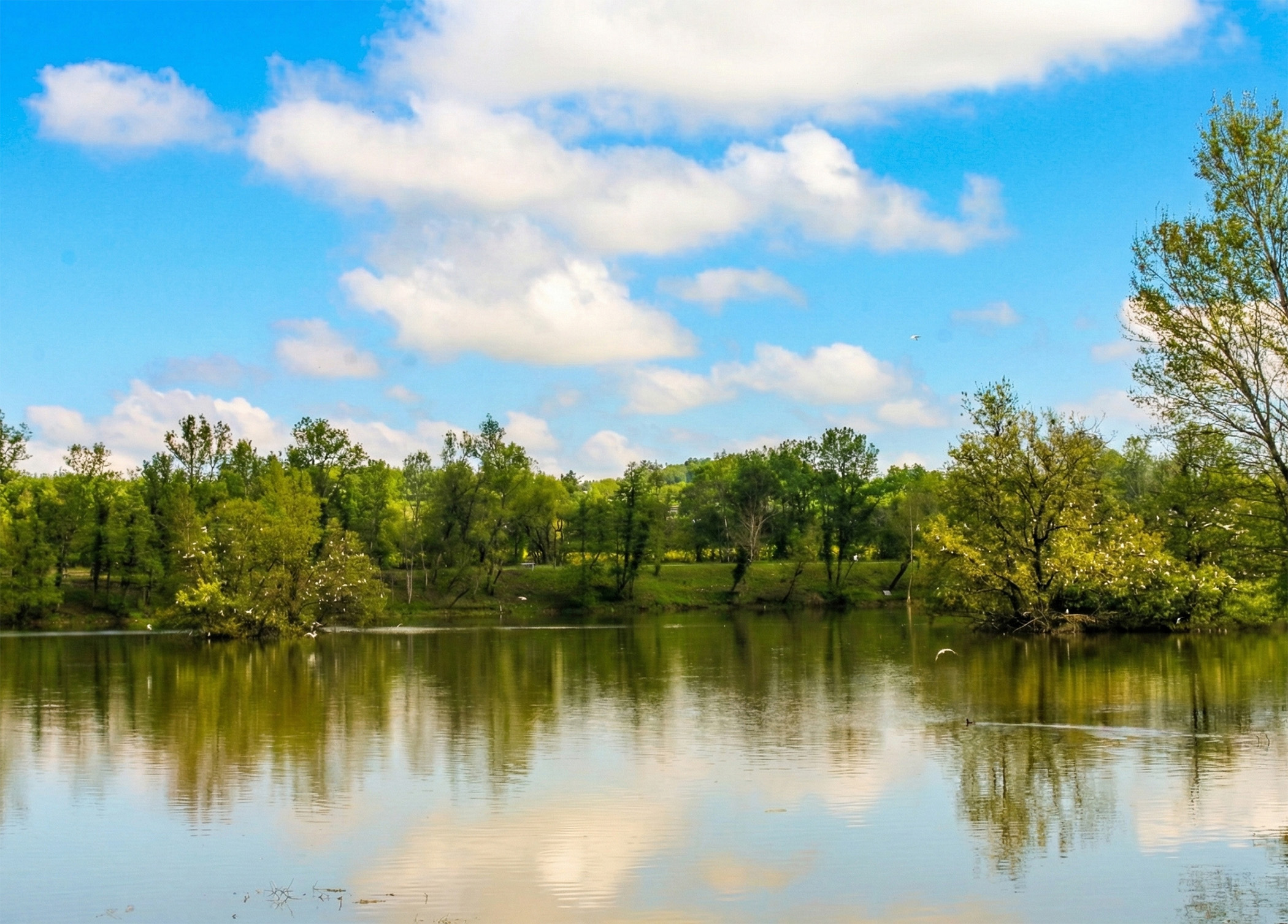 Lac de la base de loisirs Orthez-Biron, Orthez - photo 5