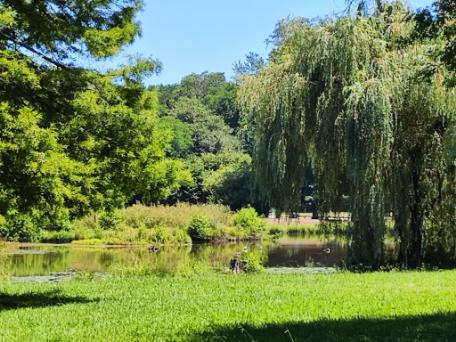 T3 - 1 à 4 pers. - TAV3/D, Saint-Paul-lès-Dax - photo 4