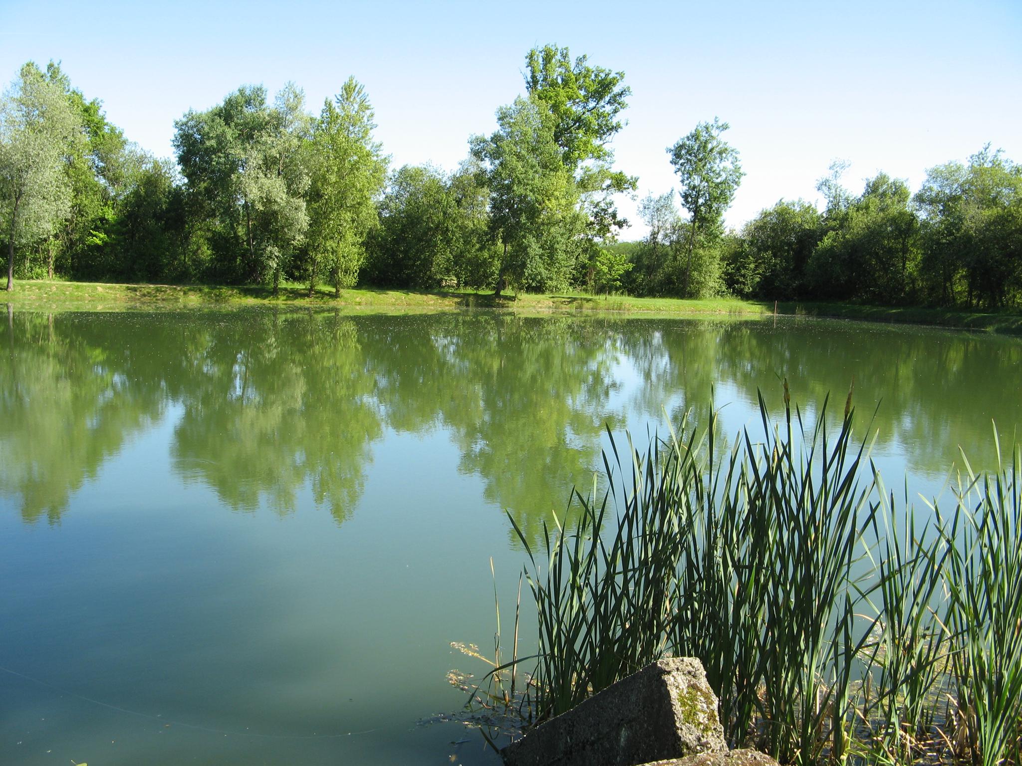 Lac de Cournères, Abos