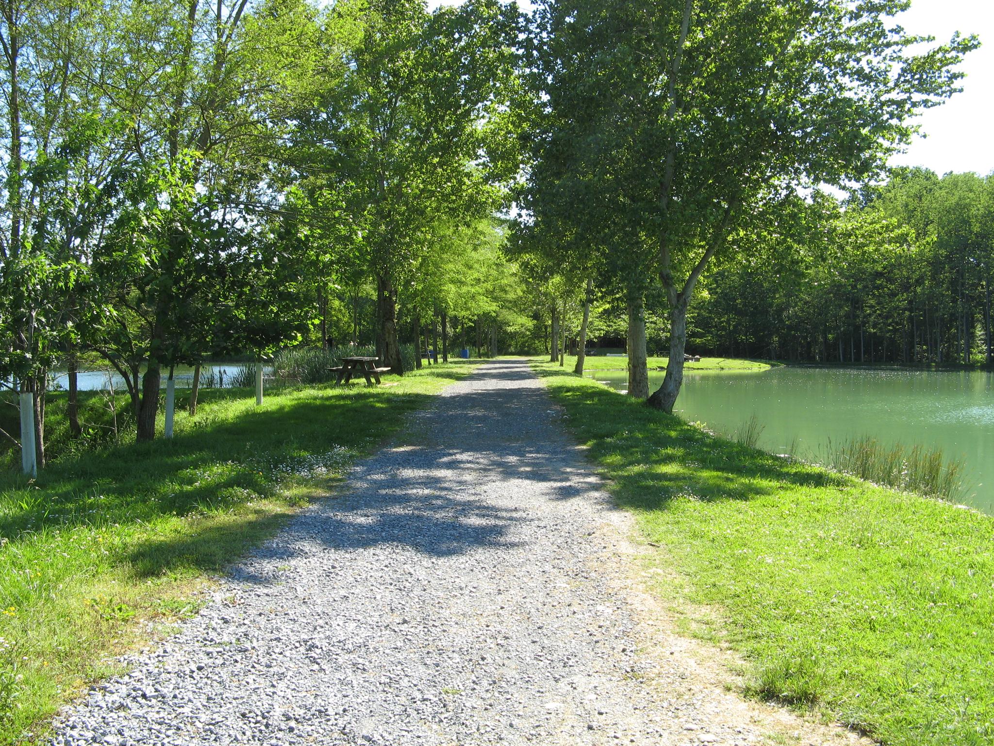 Lac de Cournères, Abos - photo 2
