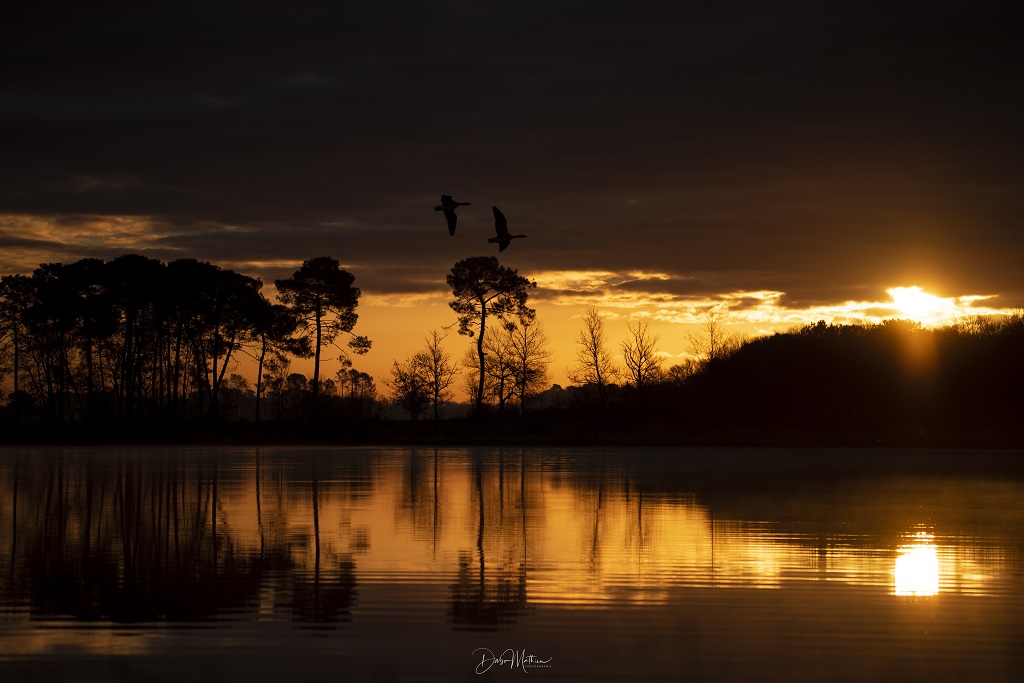 Parcours carpe de nuit de l'Adour à Onard, Onard - photo 5