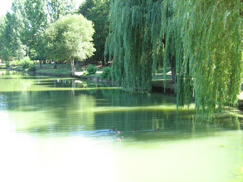 Lac de Lauzun - photo 2