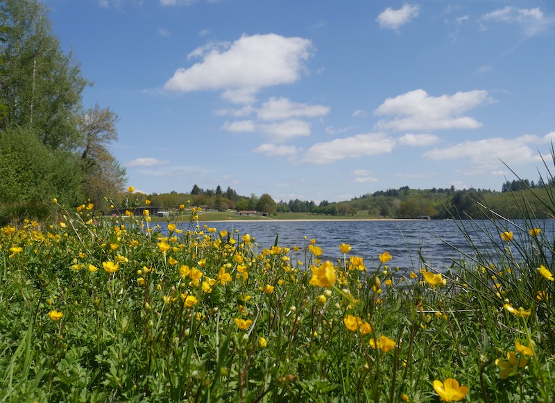 Petite boucle du Ritord