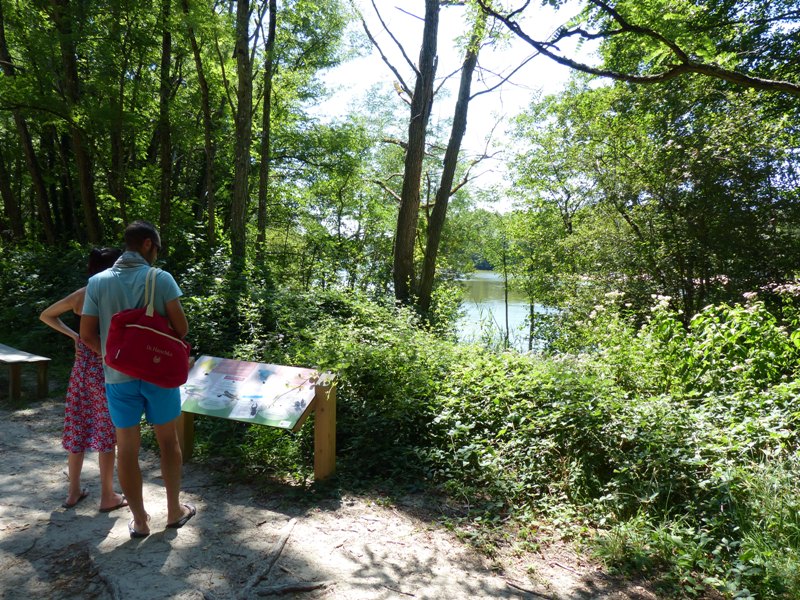 Boucle pédestre du Lac de Saint-Christoly-de-Blaye