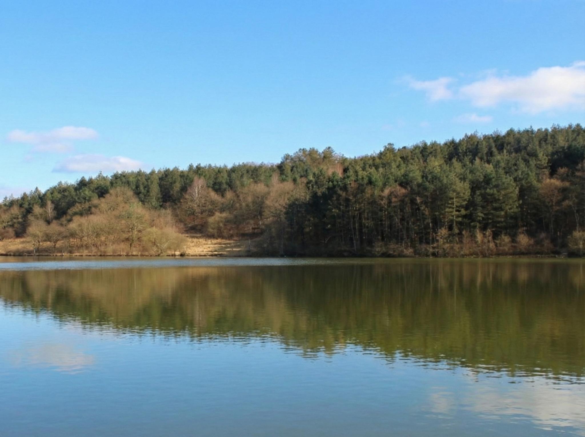 Lac de l'Aubin, Doazon - photo 7
