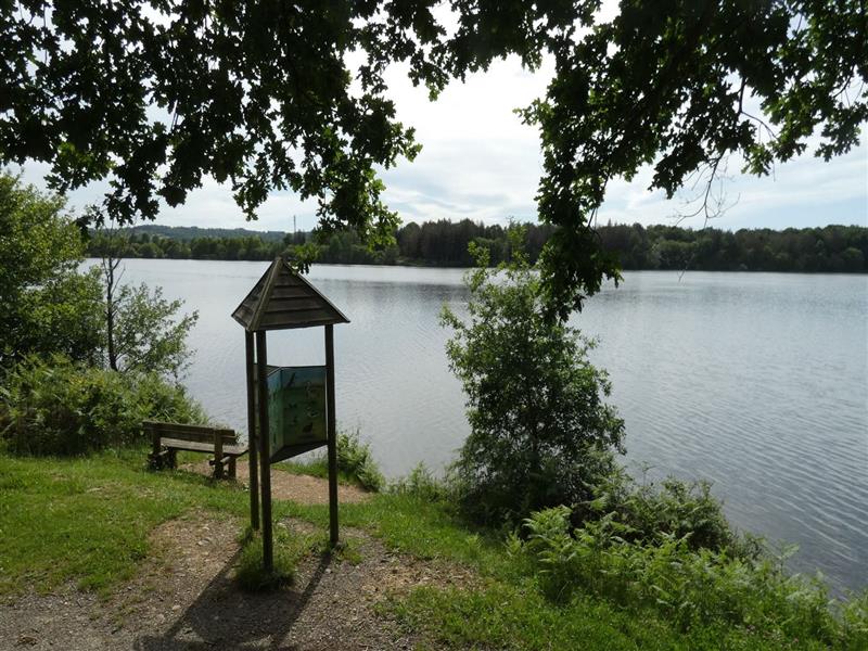 Balade à Roulettes n°4 Le lac de l'Ayguelongue à Mazerolles