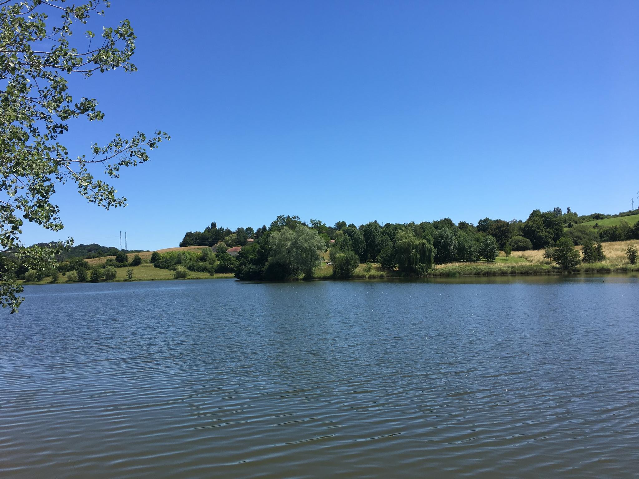 Lac de l'Y, Orthez - photo 2