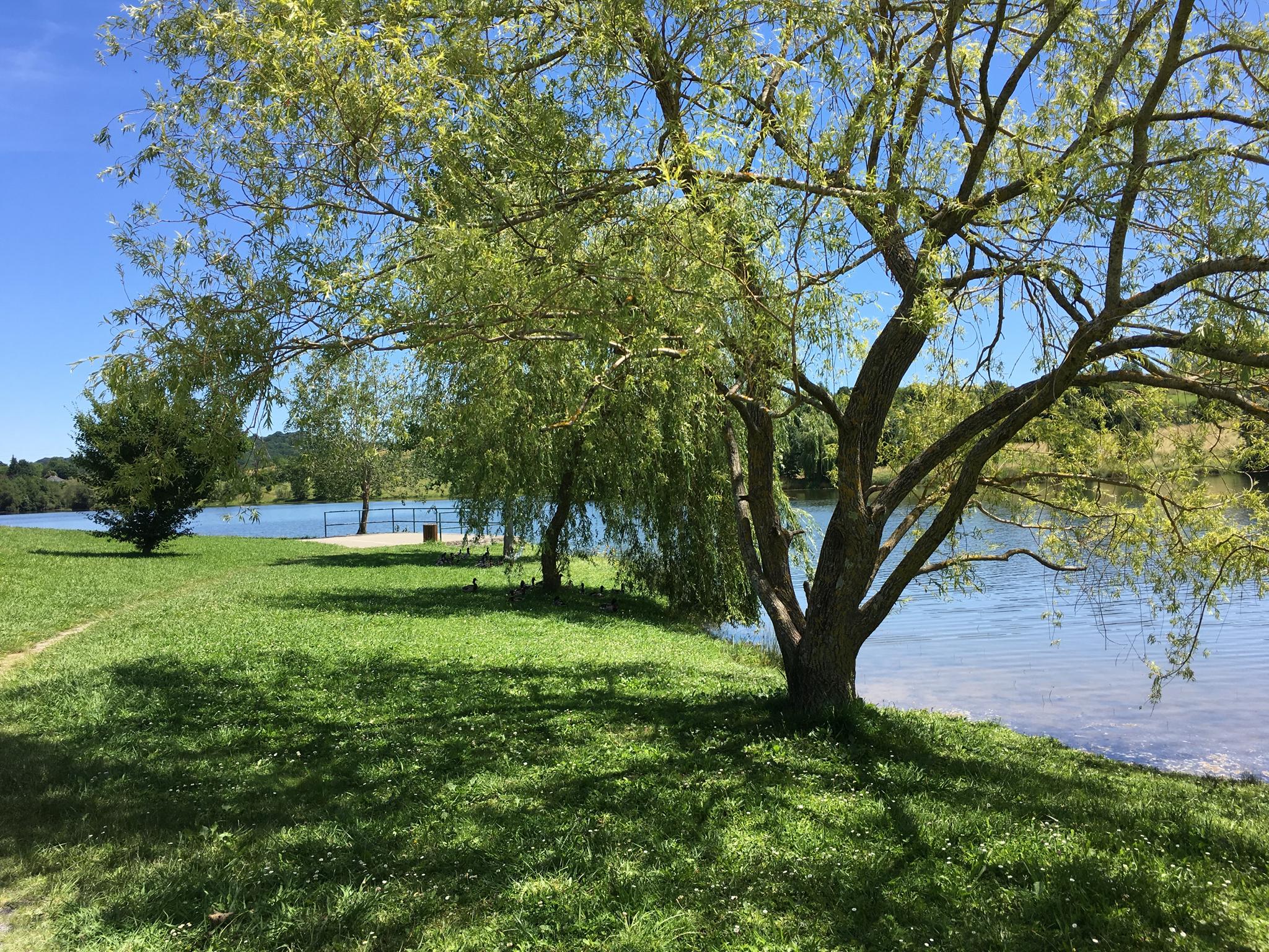 Lac de l'Y, Orthez - photo 3