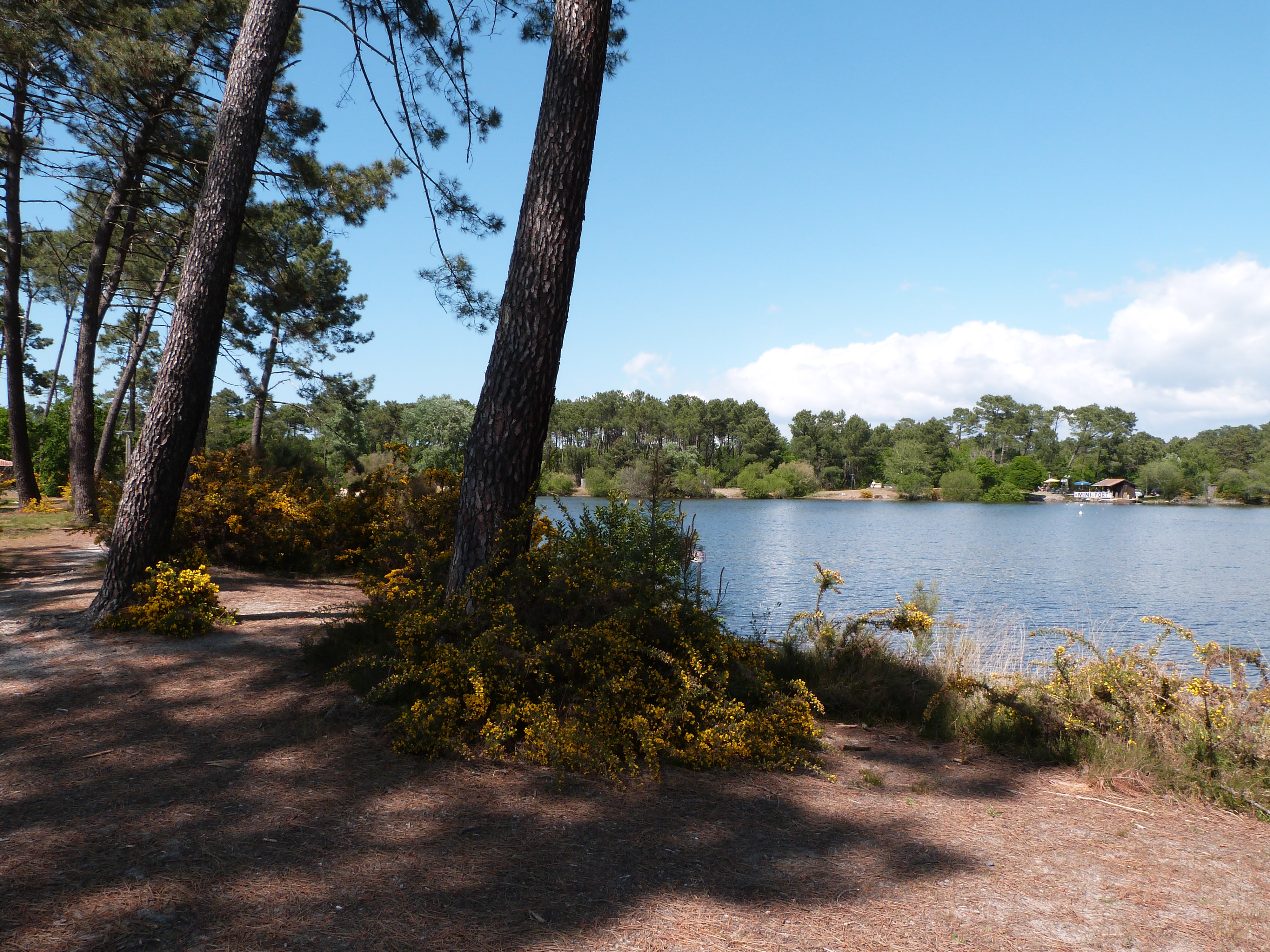 Balade à roulettes : Le lac de la Magdeleine - photo 3