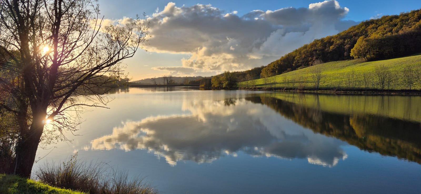 Lac de Talives, Foulayronnes