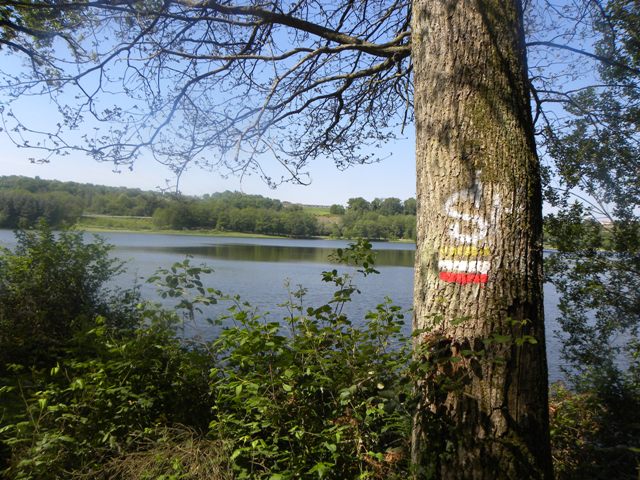 Lac et réserve ornithologique du Broussau, Aire-sur-l'Adour - photo 8