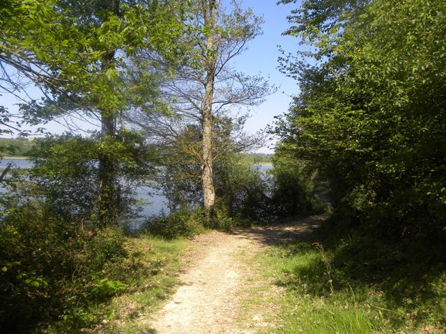 Lac et réserve ornithologique du Broussau - photo 4