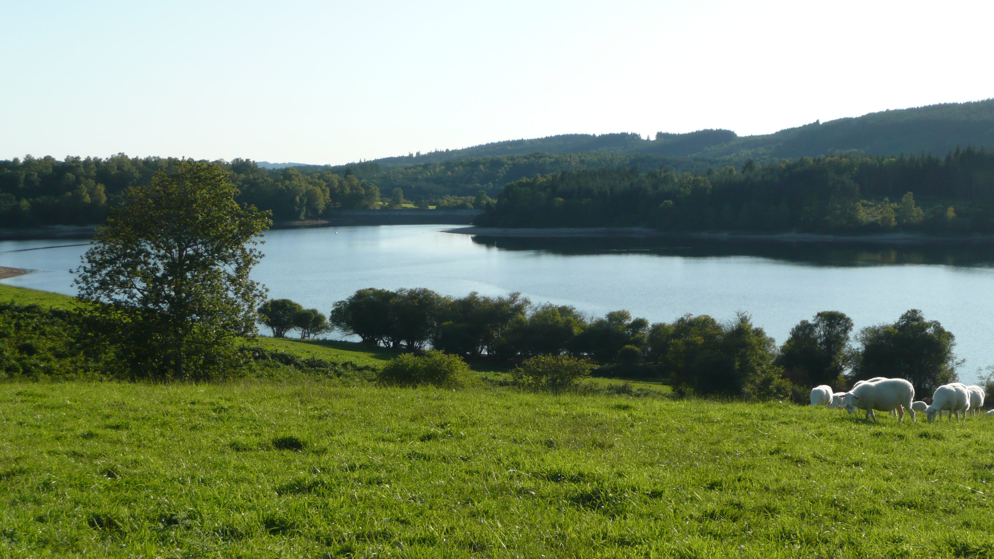 Lac du Chammet