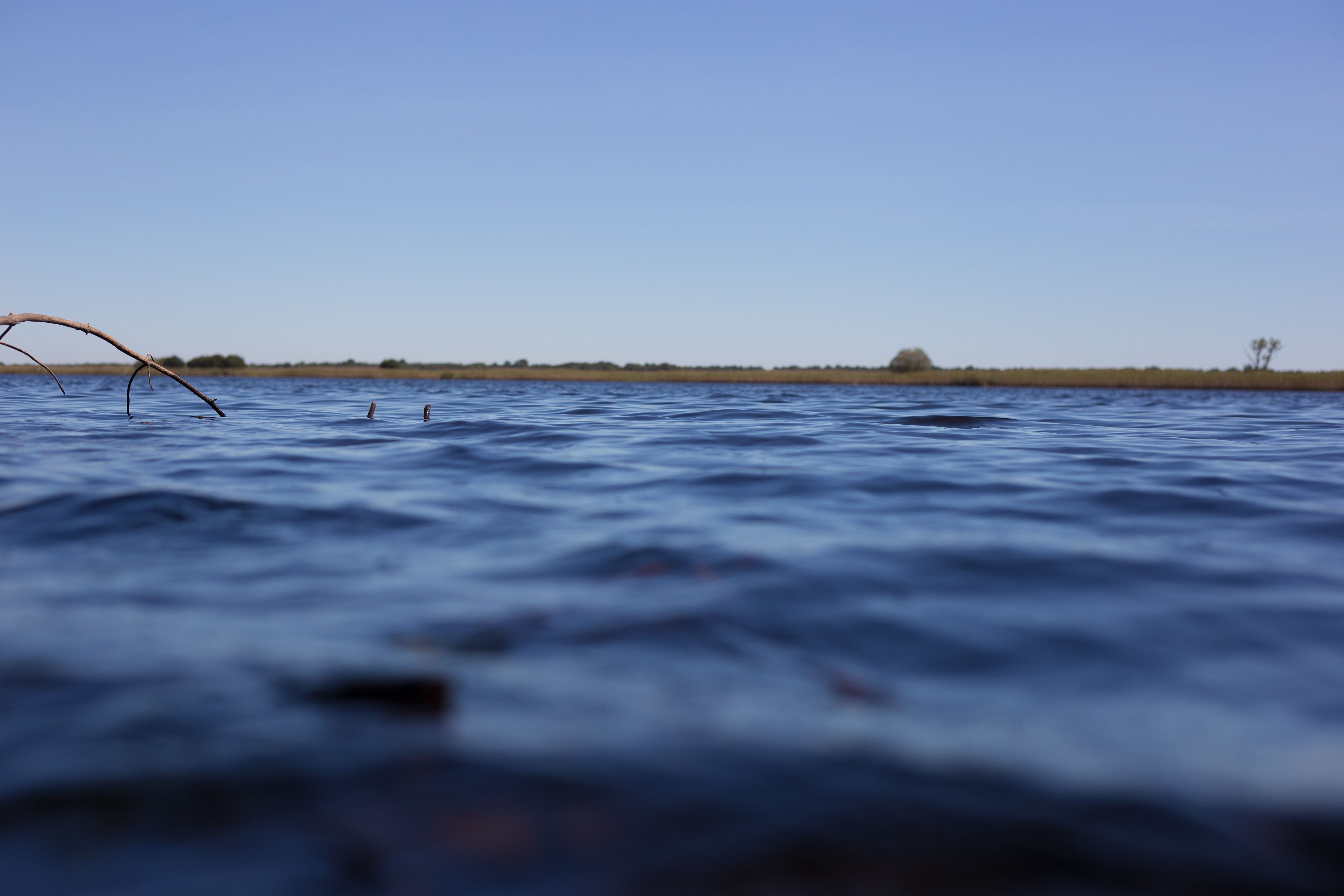 Le sentier de la Réserve Naturelle de l’étang de Cousseau, Lacanau - photo 4