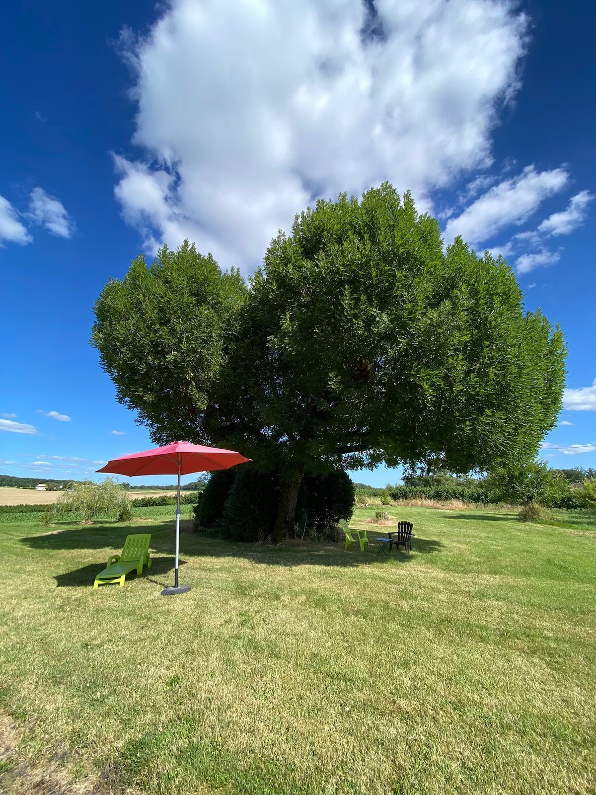 Gîte de Sicard, Lacaussade - photo 17