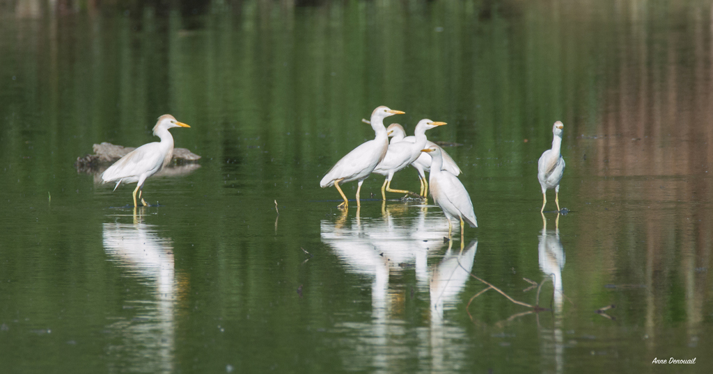 Lac de Lescourroux, Soumensac - photo 23