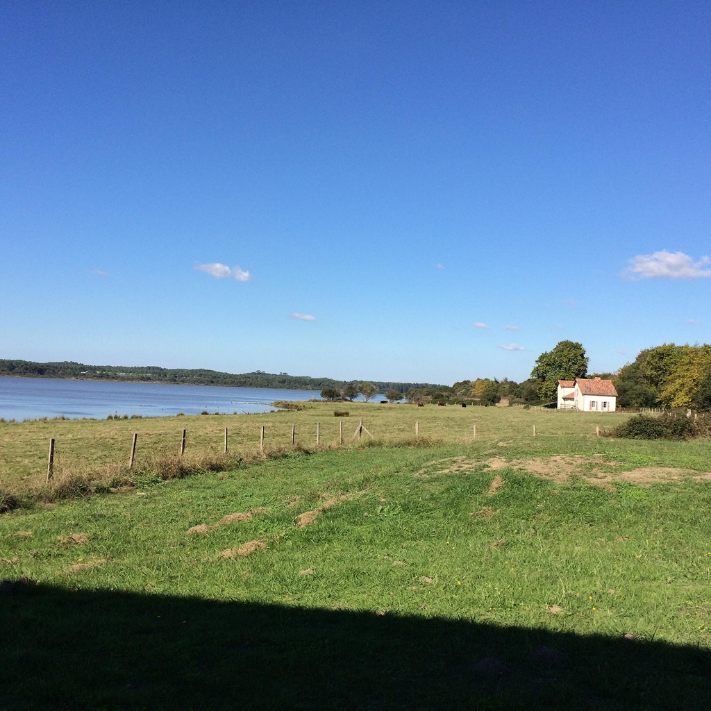 Lacoste 2, Orx - photo 5