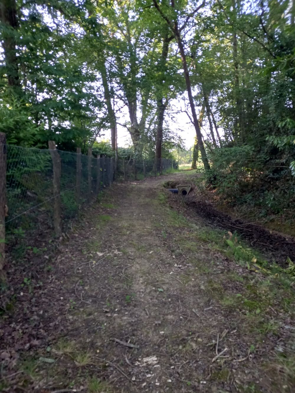 Parc d'agrément