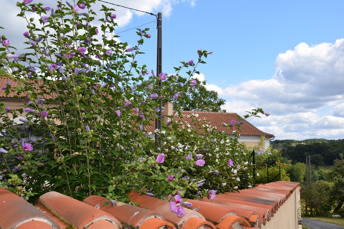 Le Logis de Marthe, Chantérac - photo 7
