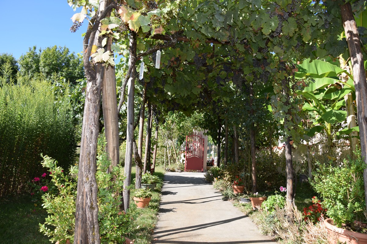 Le Logis de Marthe, Chantérac - photo 4
