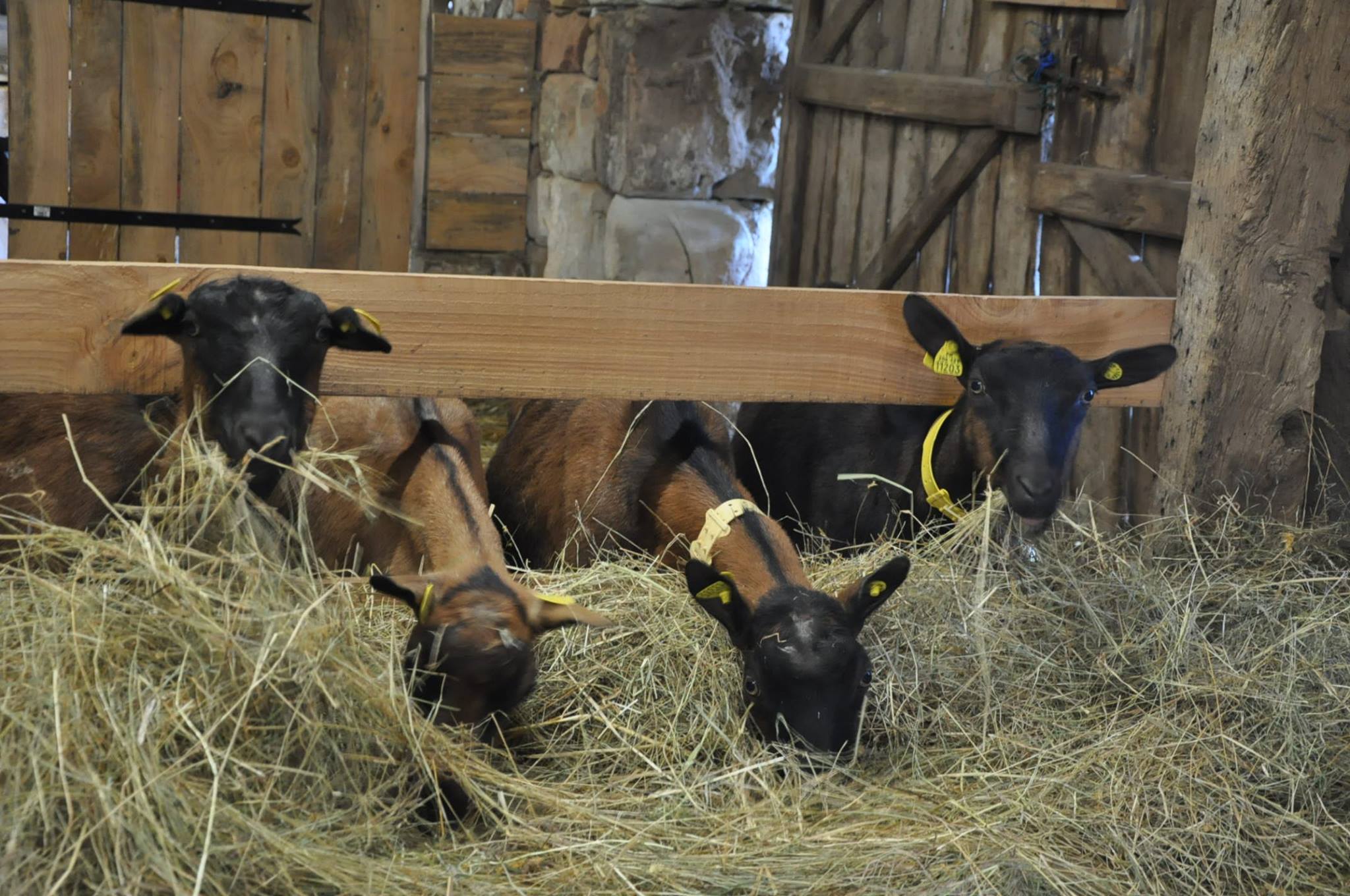 La ferme du Loriot
