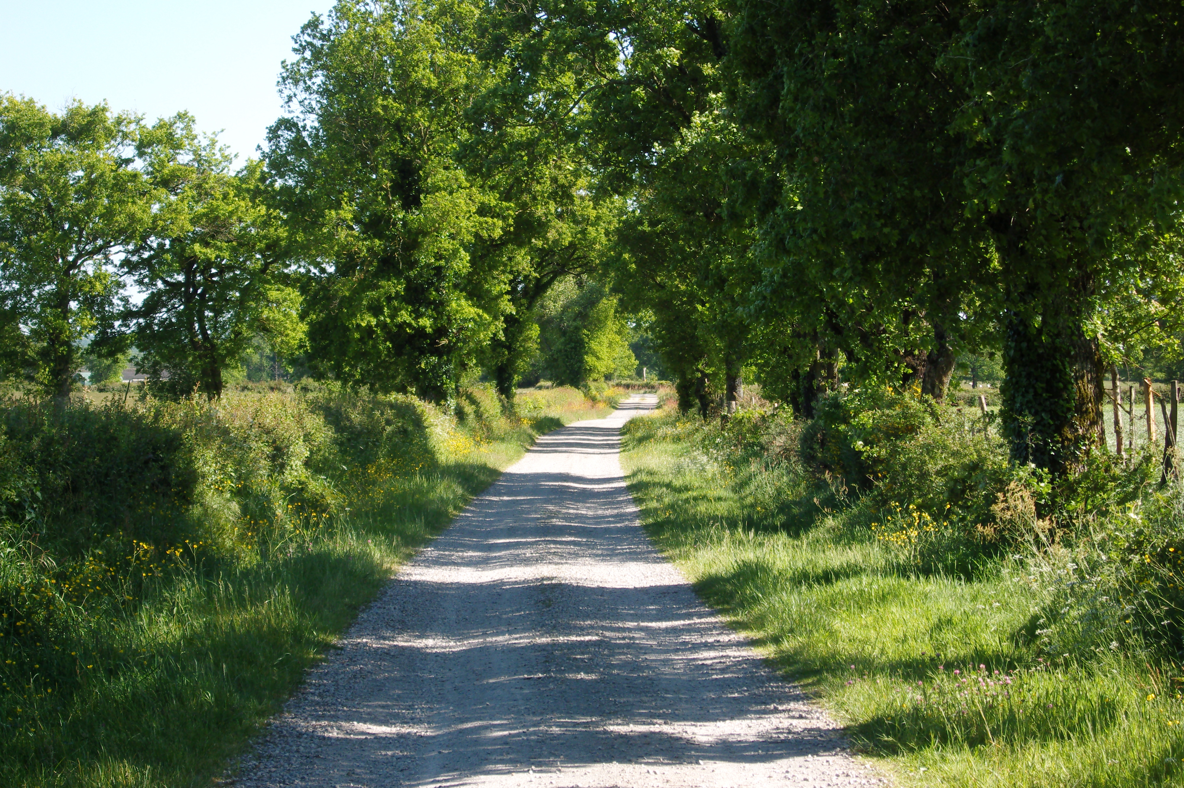 L'endurance, Parthenay - photo 9