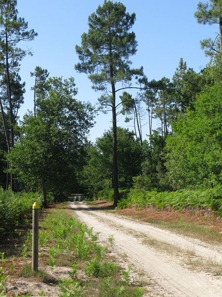 Boucle de la Lagune d'enfer à pied ou à vélo, Saugon - photo 5