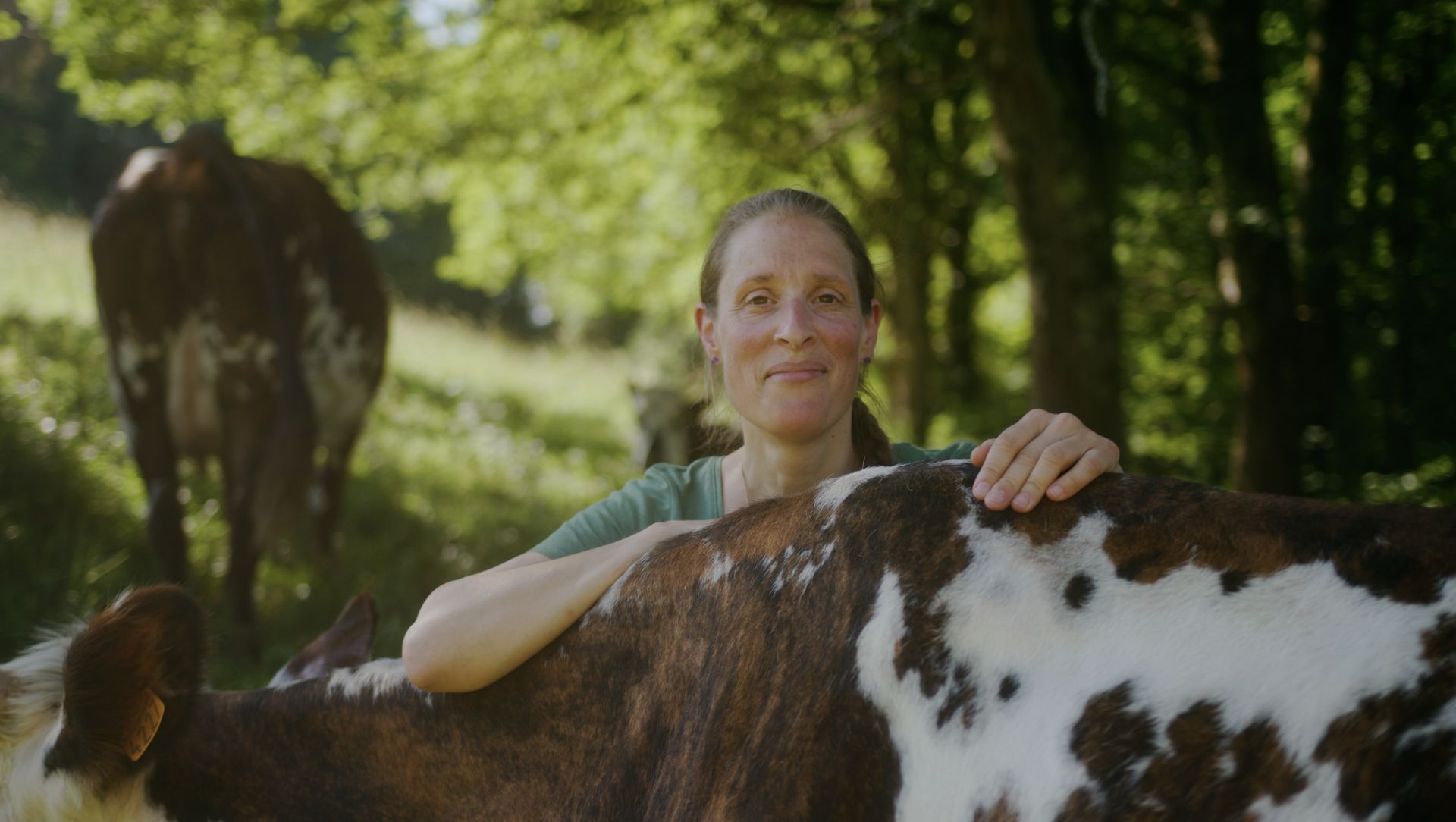 Lait p'tits béarnais