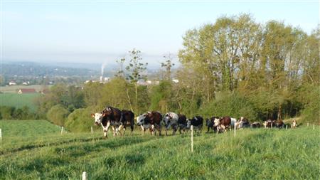 Journée agriculturelle