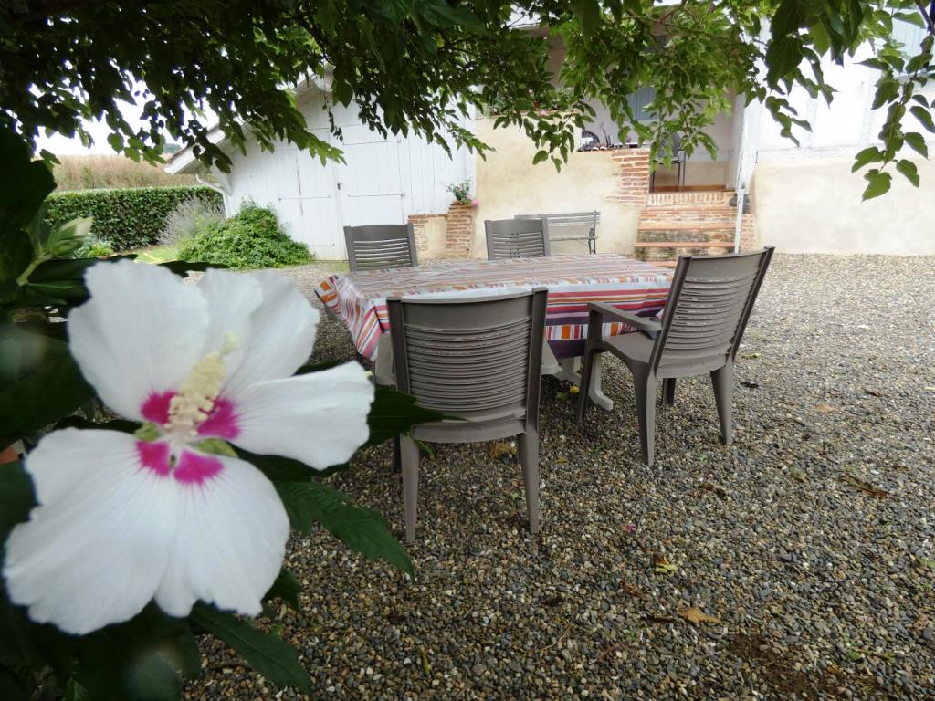 Petit Rimbez, Poyanne - photo 6