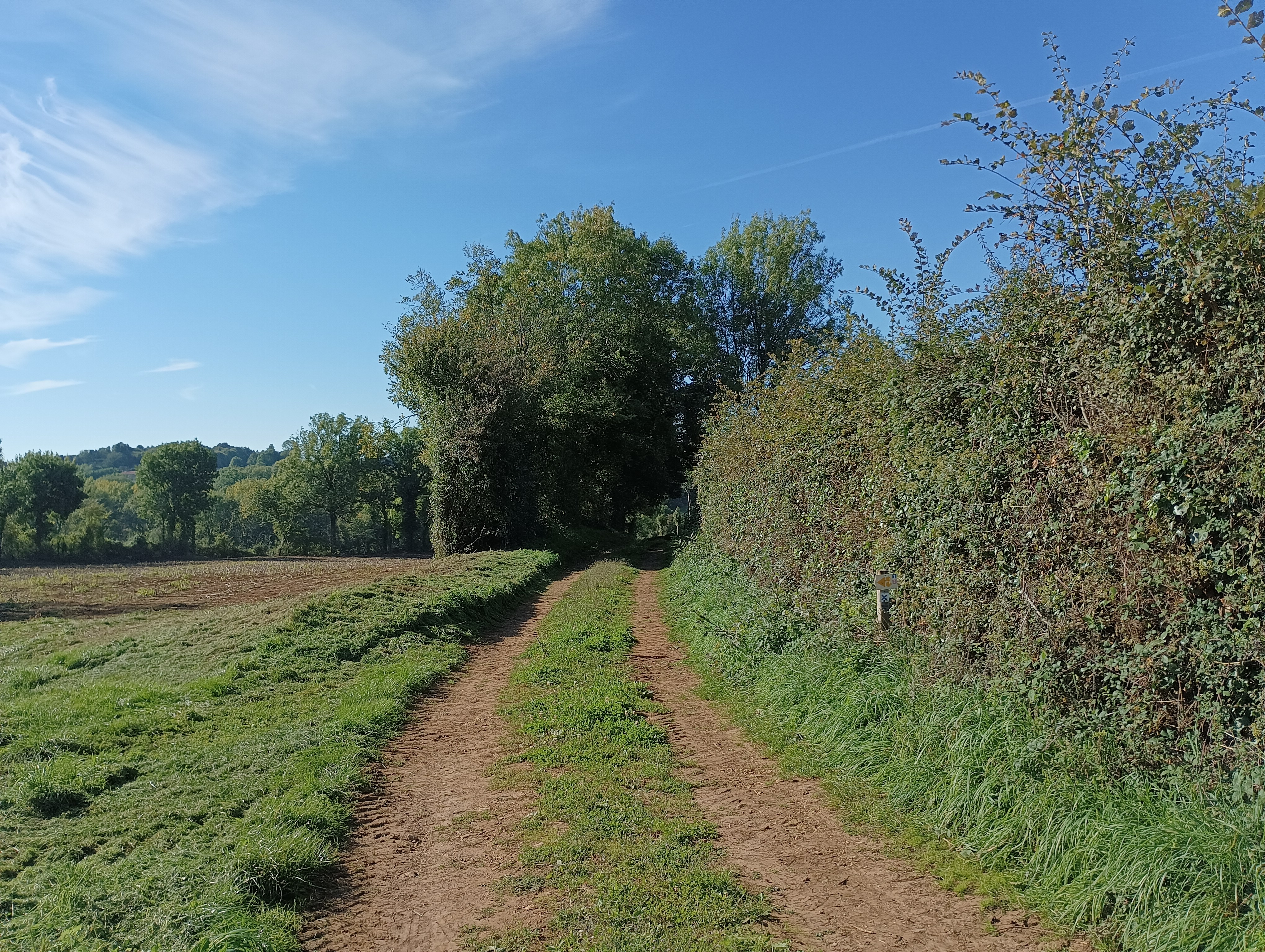 Lambon-Gros-Bois-Parking haut base de loisirs, Prailles-La Couarde - photo 3