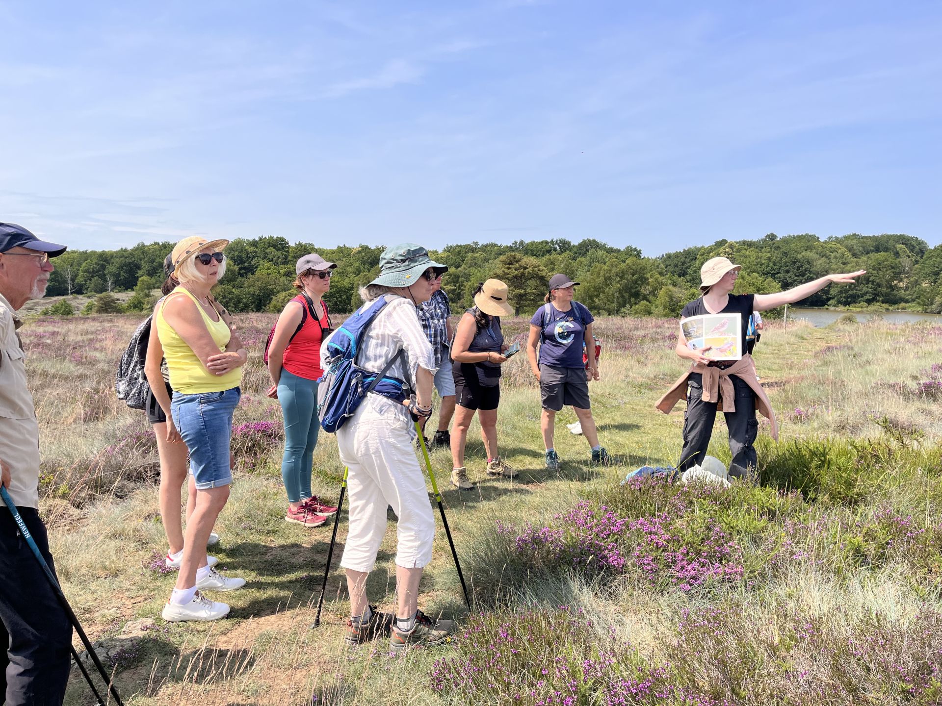 Tèrra Aventura : Une roche venue des profondeurs de l’histoire, La Roche-l'Abeille