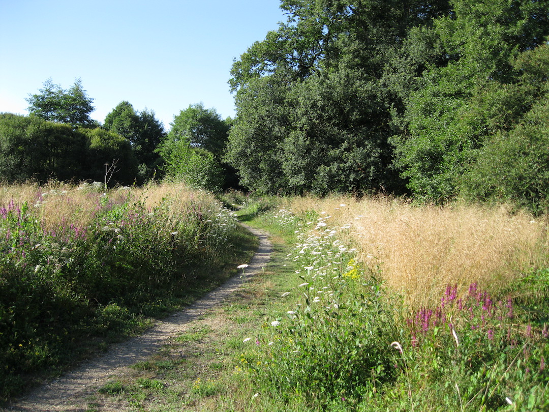 Sentier de la Mazelle