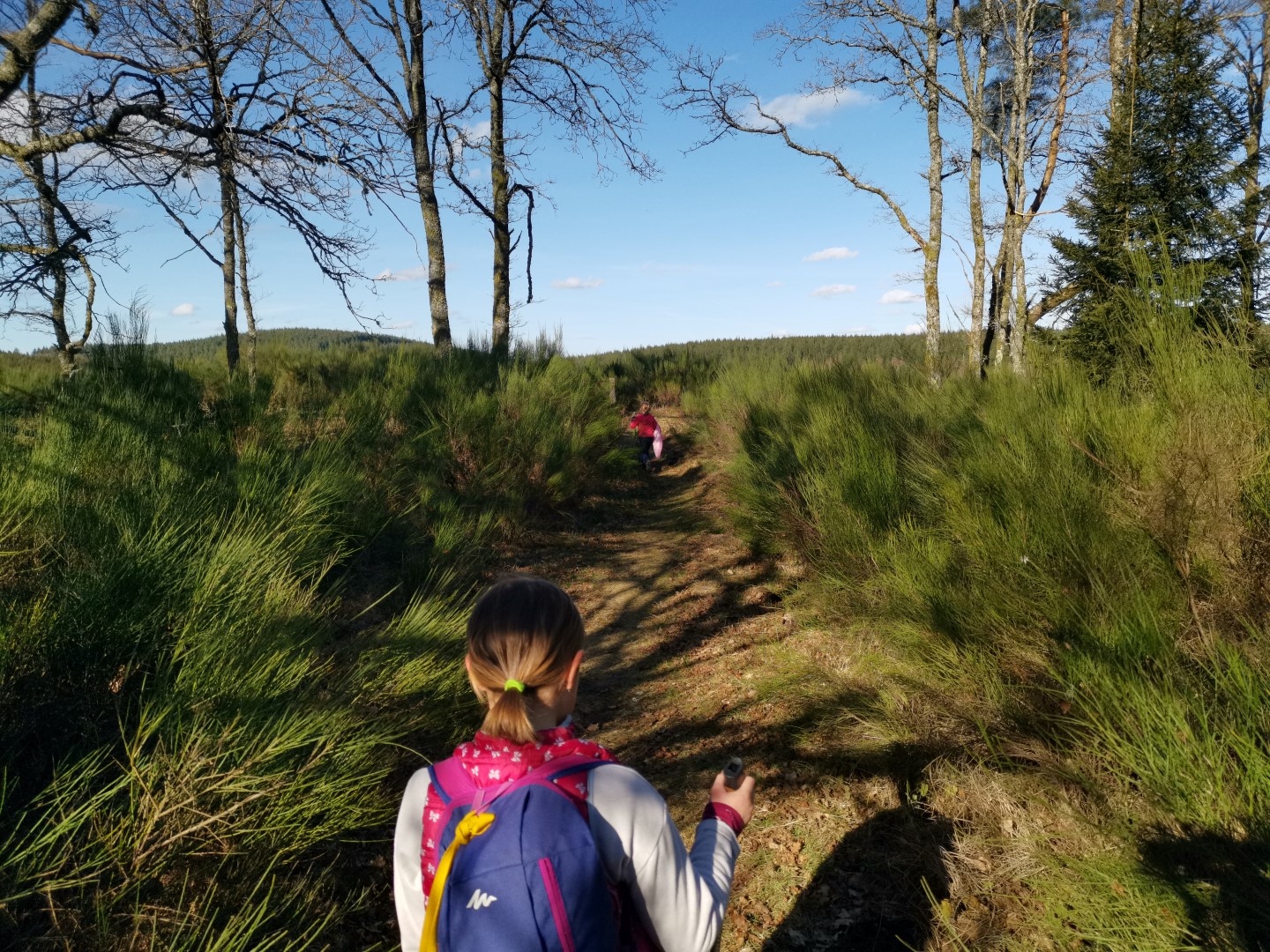 Circuit pédestre N°22 CC : "Sentier de découverte des landes et tourbières de la Mazure : Petite boucle", Le Monteil-au-Vicomte