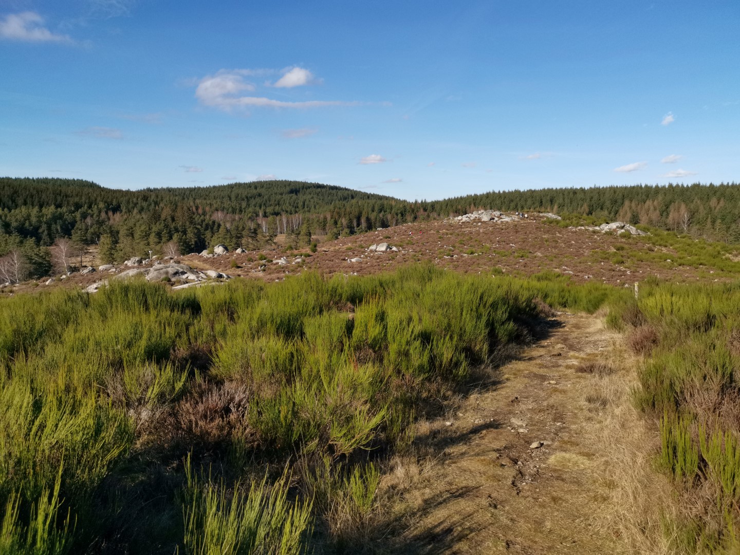 Circuit pédestre N°22 CC : "Sentier de découverte des landes et tourbières de la Mazure : Petite boucle", Le Monteil-au-Vicomte - photo 2