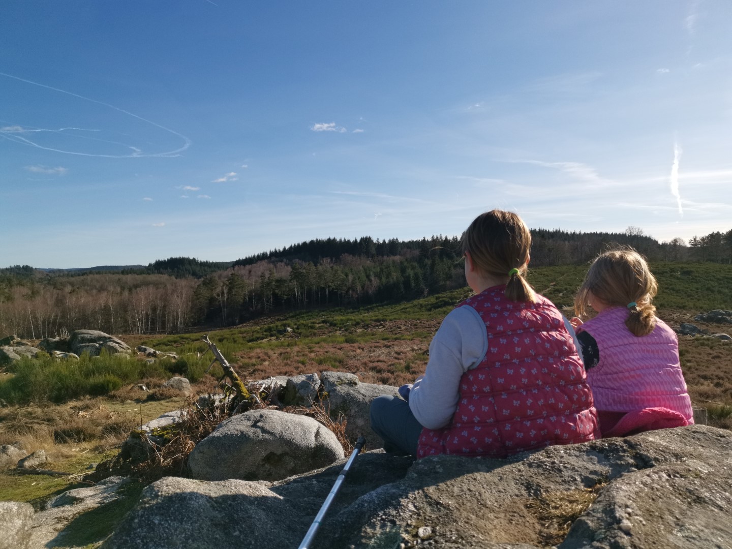 Circuit pédestre N°22 CC : "Sentier de découverte des landes et tourbières de la Mazure : Petite boucle", Le Monteil-au-Vicomte - photo 3