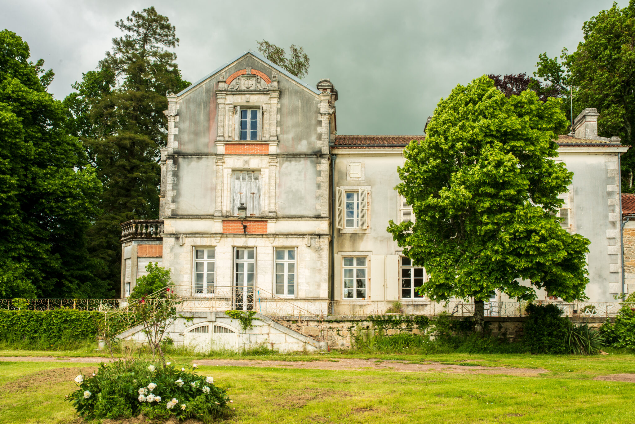 Atelier danse dans la nature